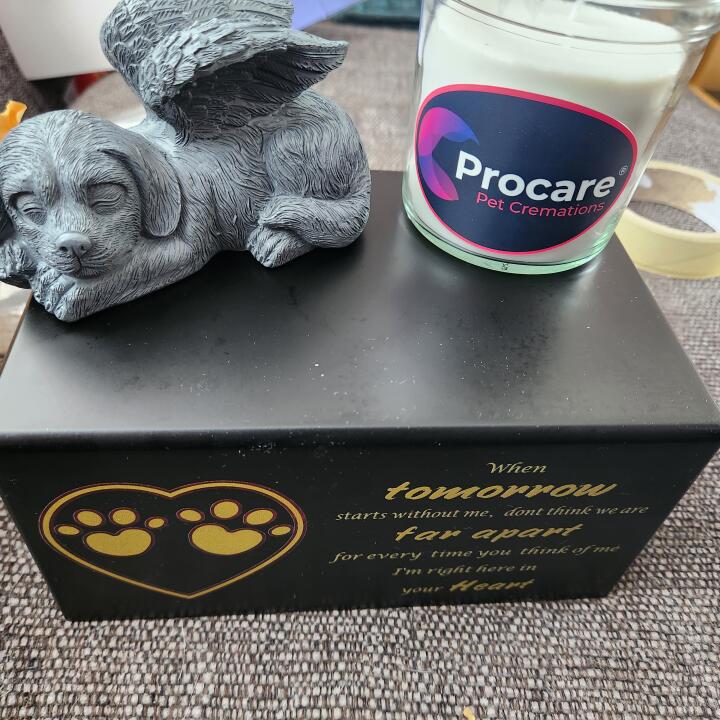 Procare Pet Cremations 5 star review on 3rd May 2023