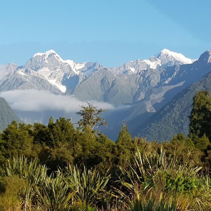 Silver Fern Holidays 5 star review on 8th June 2020