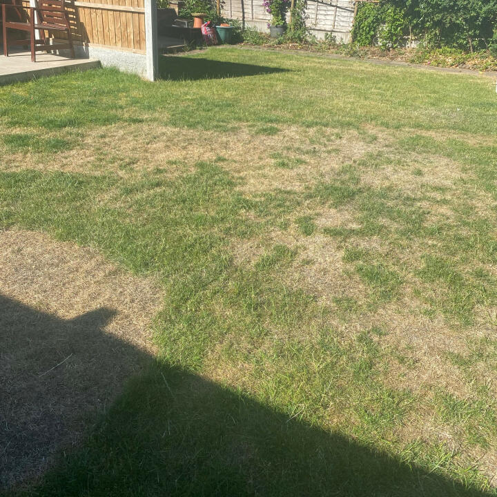 the lawn turf laying company 1 star review on 4th July 2022