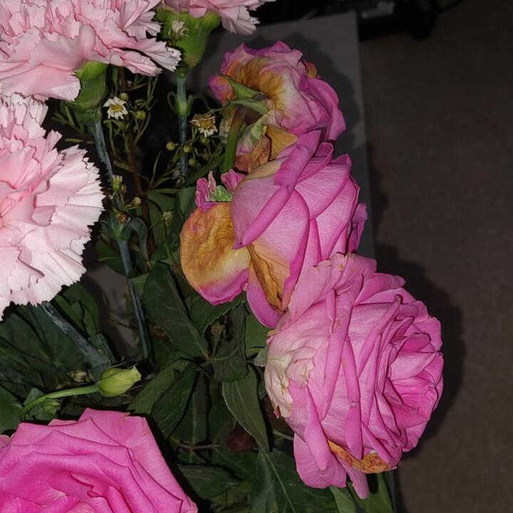 Home Bargains Flowers 1 star review on 22nd March 2023