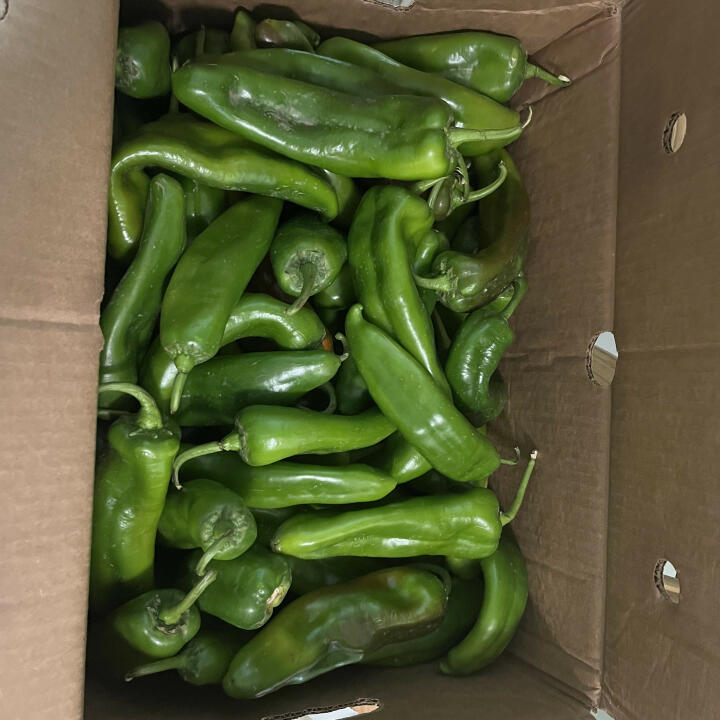 The Hatch Chile Store 4 star review on 7th August 2022