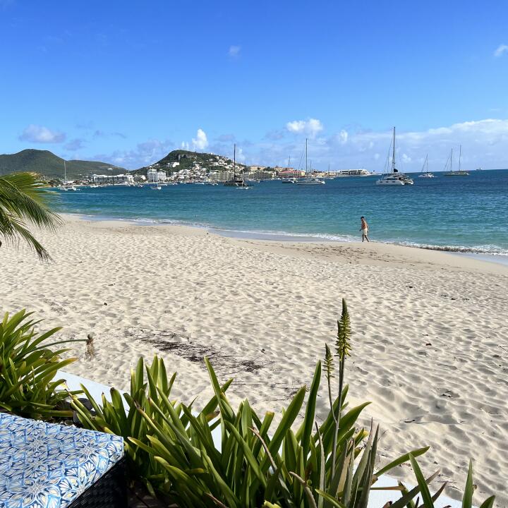 St Martin Blue 5 star review on 13th February 2023