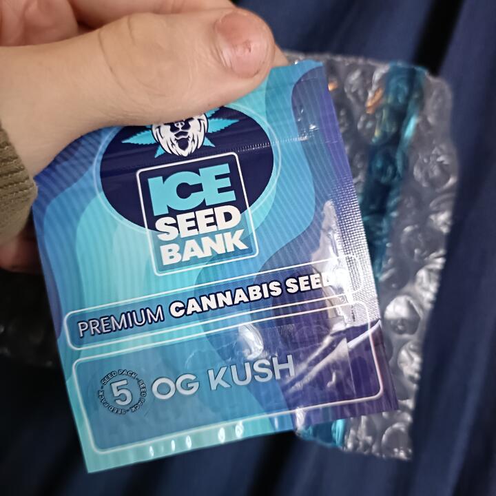 ICE Headshop 5 star review on 17th July 2023