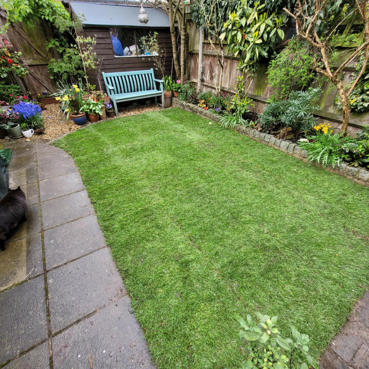 London Lawn Turf Company 5 star review on 14th April 2023