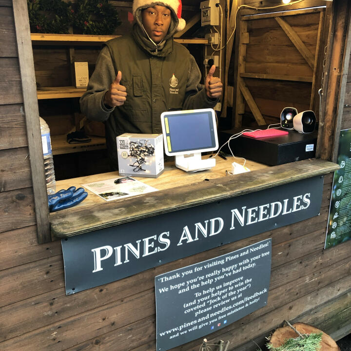 Pines and Needles 5 star review on 21st December 2019
