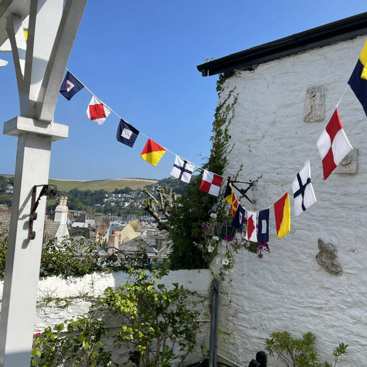 The Cotton Bunting 5 star review on 26th August 2021