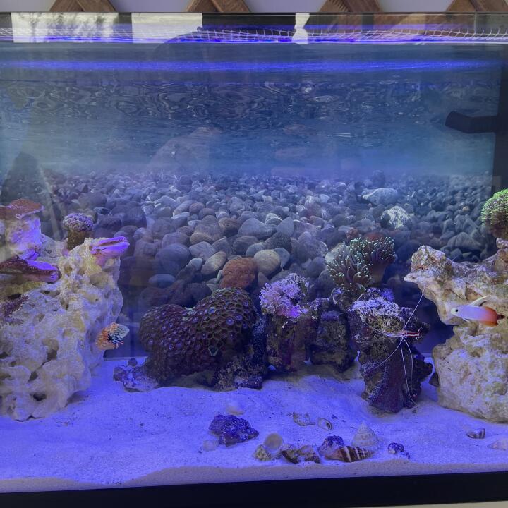 Kraken Corals 5 star review on 11th September 2021