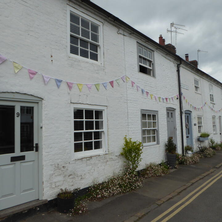 The Cotton Bunting 5 star review on 23rd June 2022
