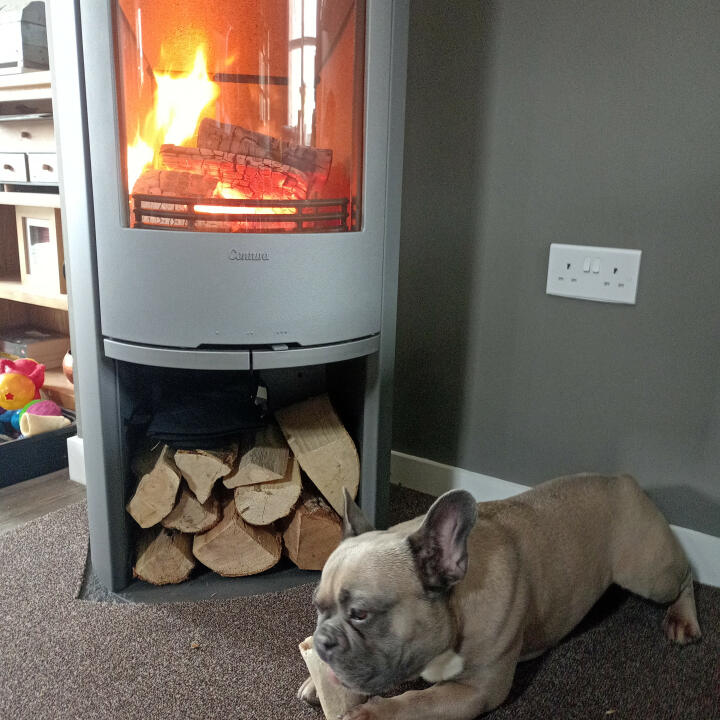 Calido Logs and Stoves 5 star review on 9th March 2023