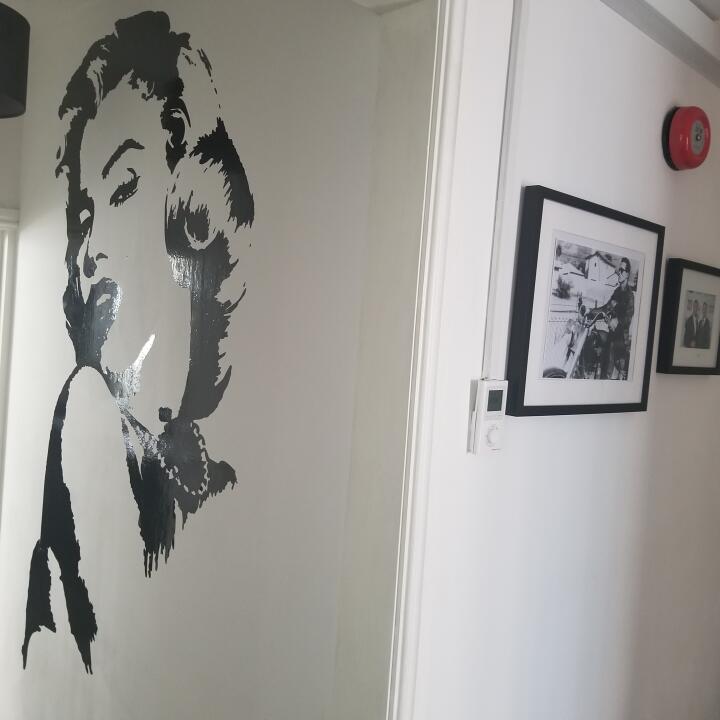 Wallart-Direct 5 star review on 23rd June 2020