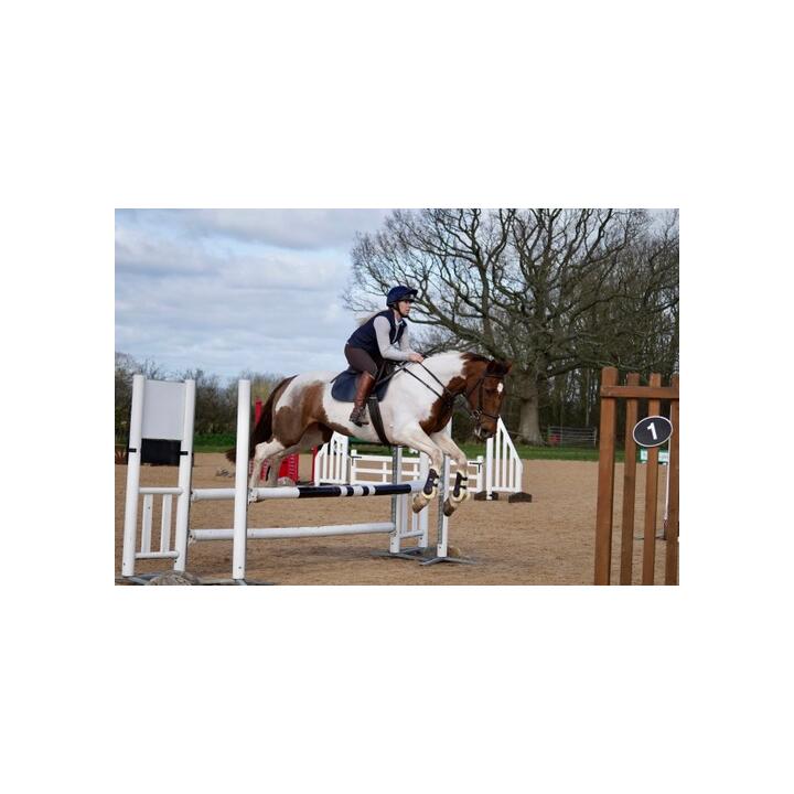 GS Equestrian 5 star review on 20th March 2023