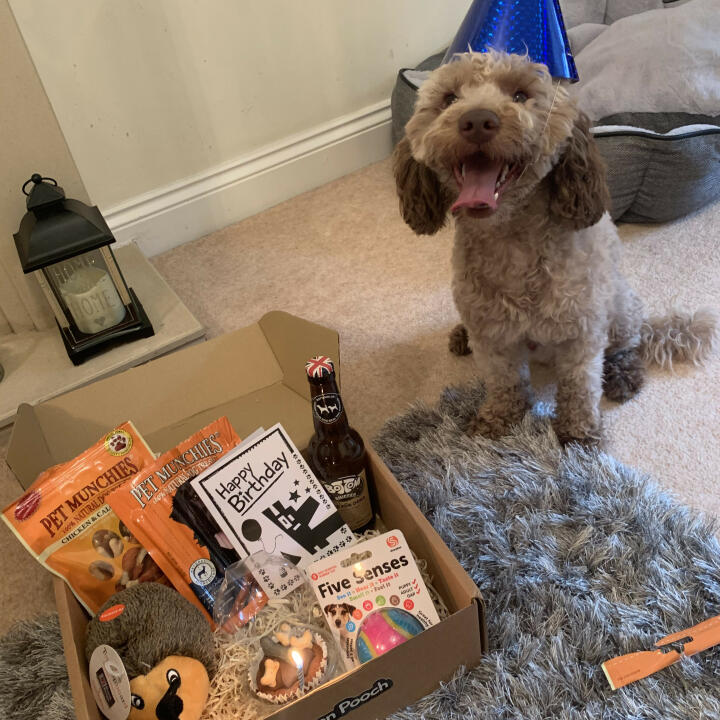 Postman Pooch 5 star review on 16th July 2020