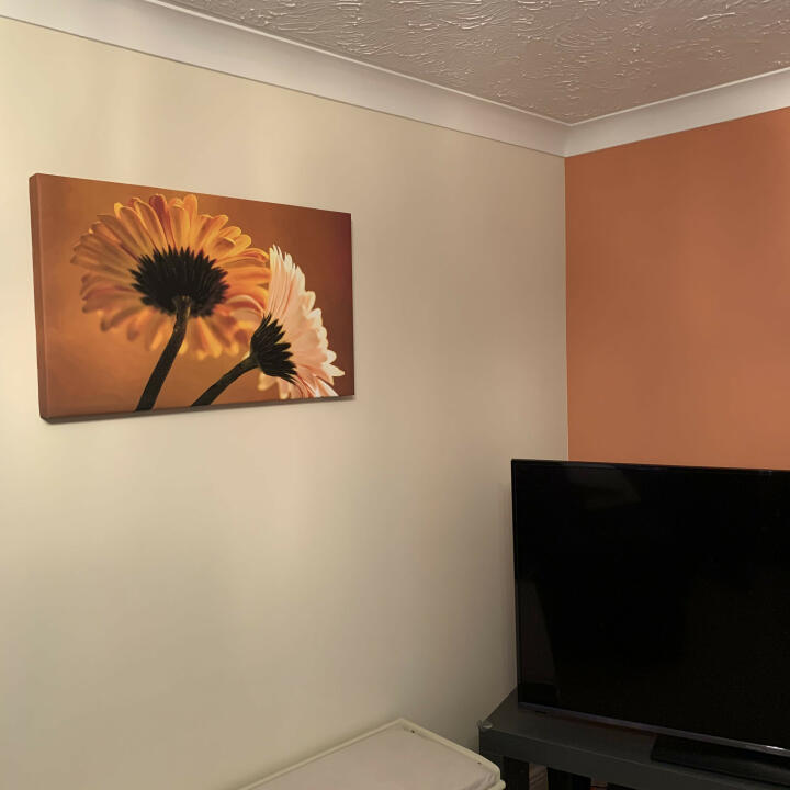 Wallart-Direct 5 star review on 11th February 2021