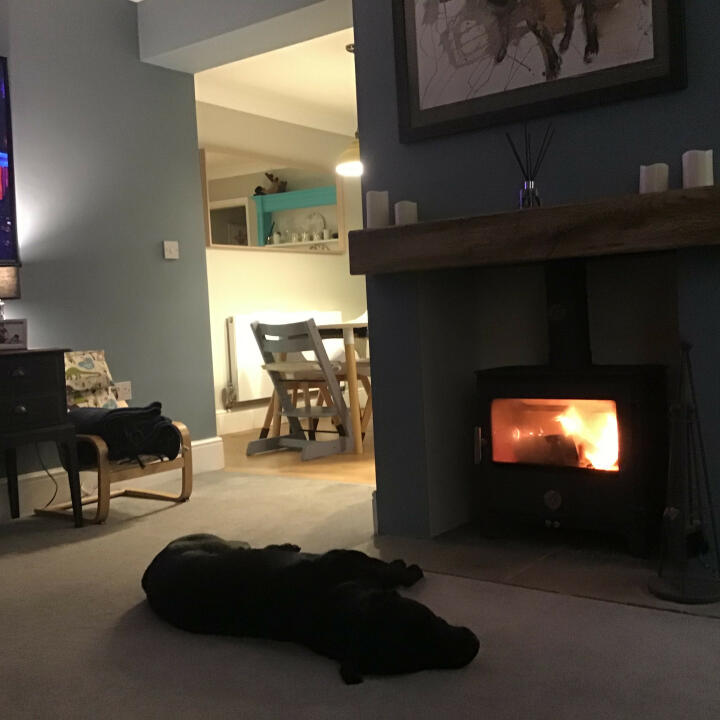Calido Logs and Stoves 5 star review on 18th November 2020