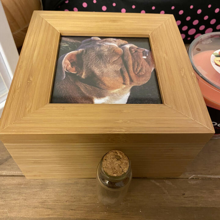 Procare Pet Cremations 5 star review on 7th June 2022