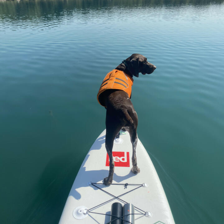 Red Paddle Co 5 star review on 19th July 2021