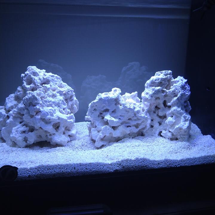 Kraken Corals 5 star review on 25th January 2022