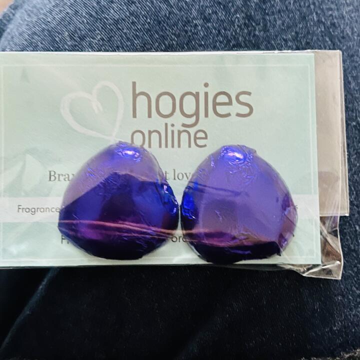 Hogies Online 5 star review on 5th April 2023
