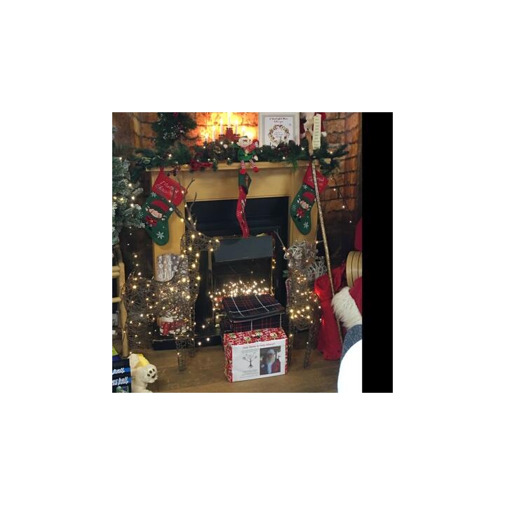 Swansea, A Wyevale Garden Centre, Swansea 5 star review on 30th December 2018