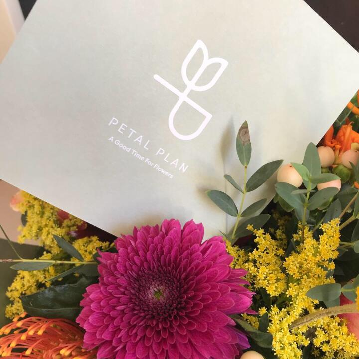 Petal Plan 5 star review on 24th October 2018