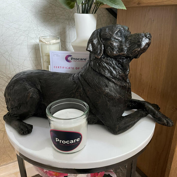 Procare Pet Cremations 5 star review on 1st June 2023