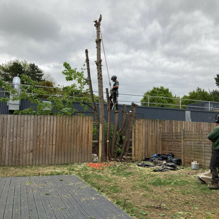 Bardsey Tree Services 5 star review on 19th May 2022