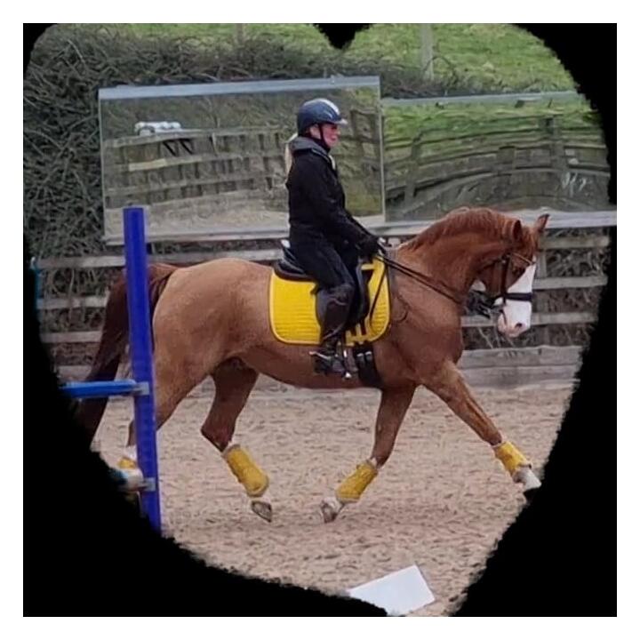 Equiflair Saddlery 5 star review on 14th June 2022