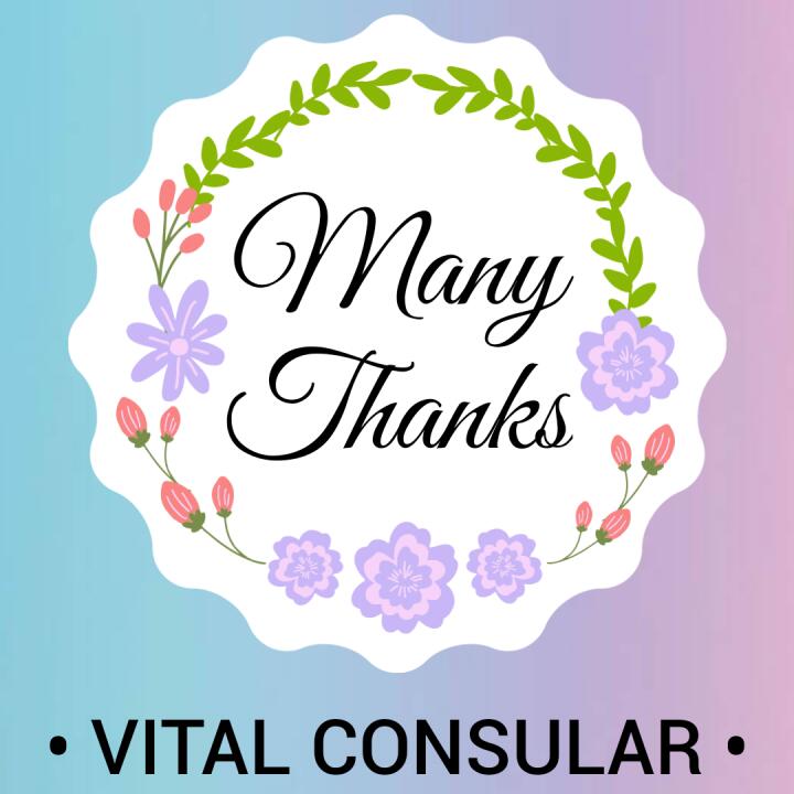 Vital Consular 5 star review on 28th August 2020
