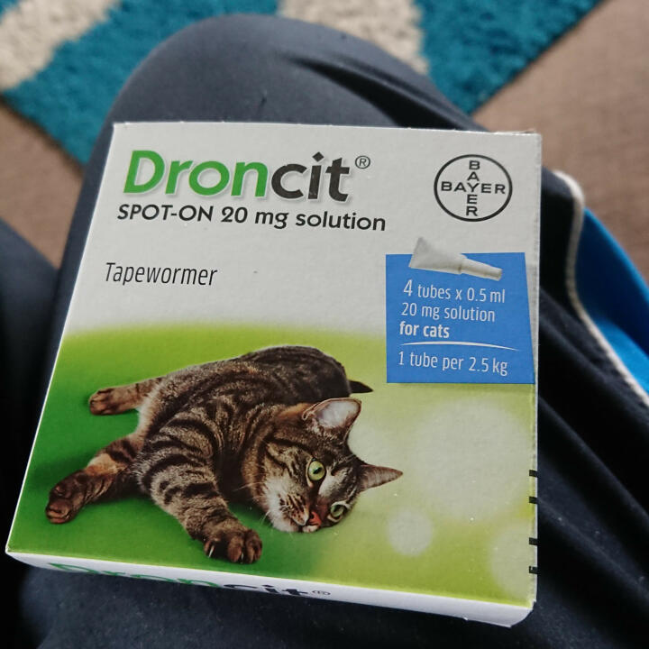Direct 4 Pet  (Black Cat Medicines Limited) 5 star review on 26th June 2021