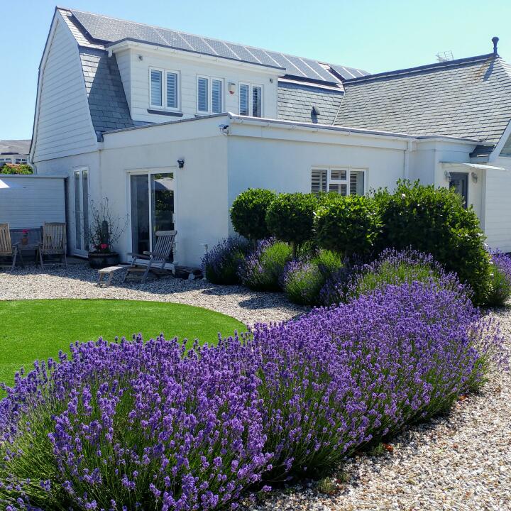 Independent Cottages 5 star review on 21st January 2021