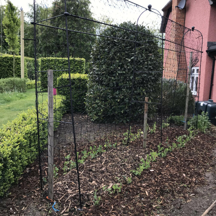 Harrod Horticultural 5 star review on 15th May 2019