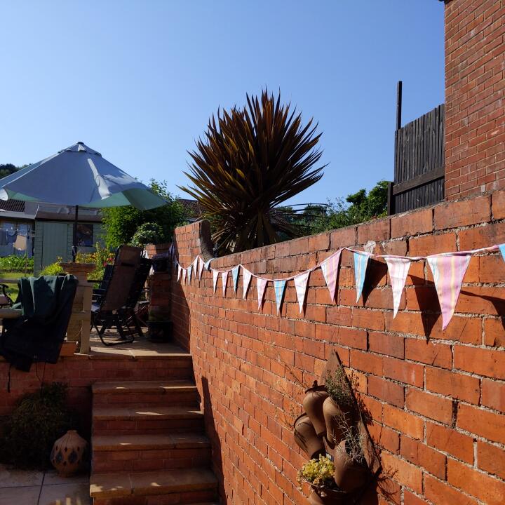 The Cotton Bunting 5 star review on 19th July 2021