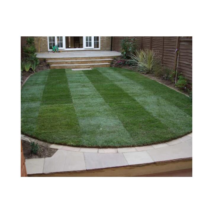 Surrey Lawn Turf Company 5 star review on 27th April 2023