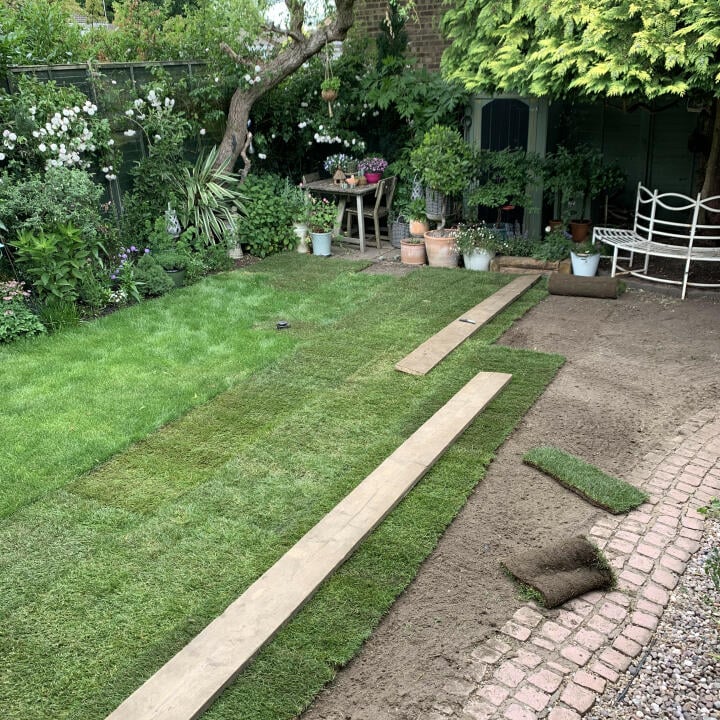 London Lawn Turf Company 5 star review on 10th June 2020