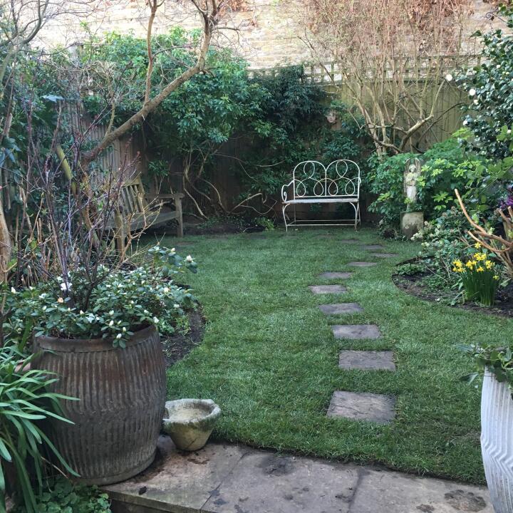 London Lawn Turf Company 5 star review on 8th March 2019