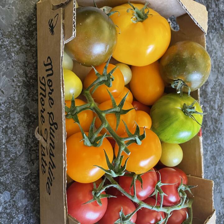 Isle of Wight Tomatoes 3 star review on 17th July 2022