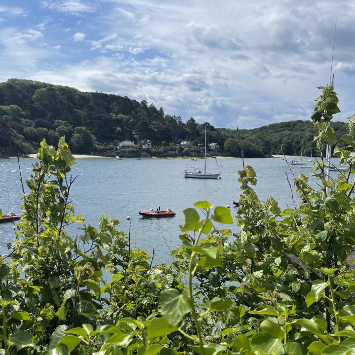 Salcombe Finest 5 star review on 5th July 2021