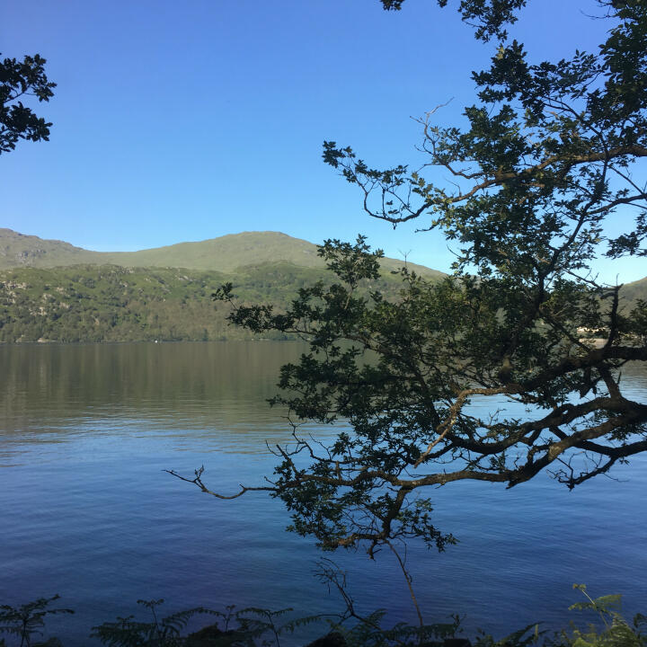 Argyll Holidays 5 star review on 16th July 2017