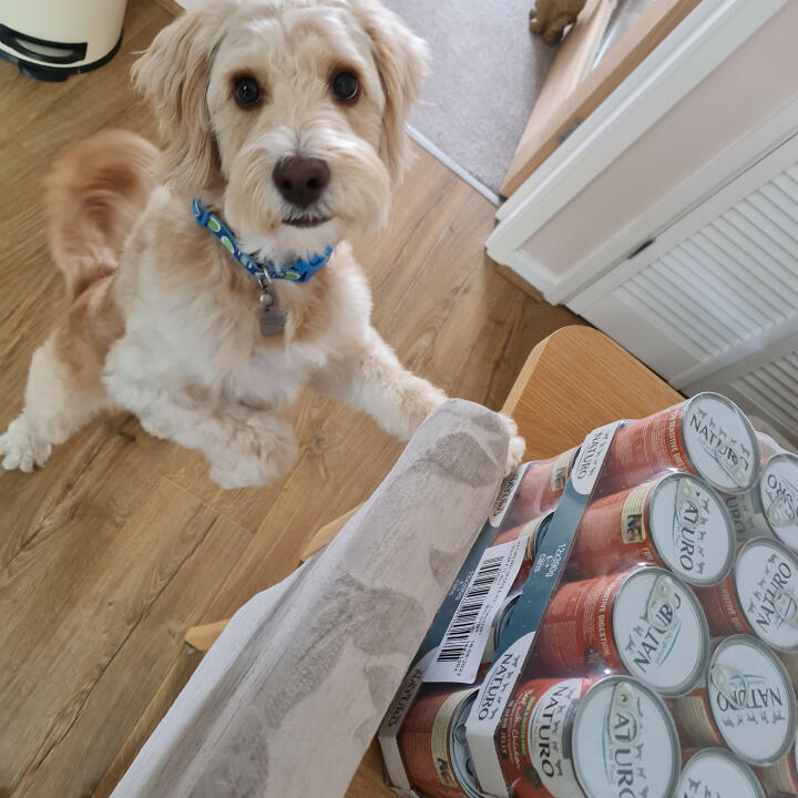 Naturo Natural Pet Food 5 star review on 10th August 2021