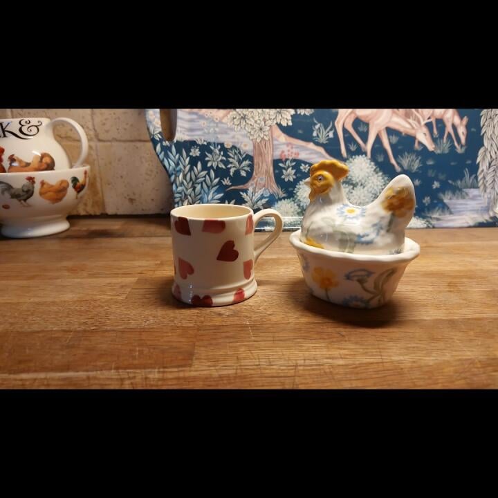 Emma Bridgewater 5 star review on 27th May 2023