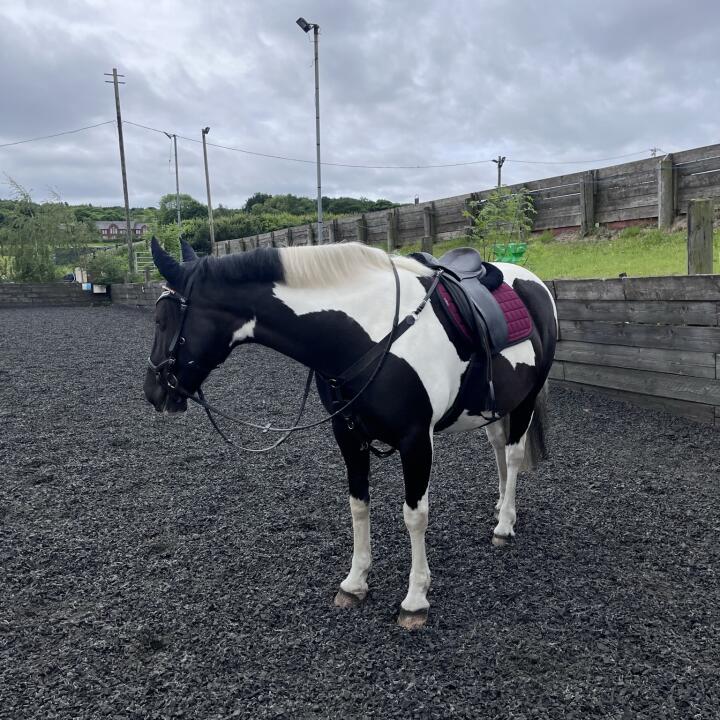 Equiflair Saddlery 5 star review on 31st May 2022