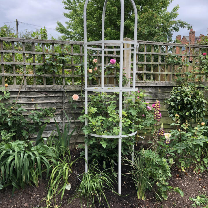 Harrod Horticultural 5 star review on 6th July 2019