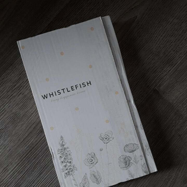 Whistlefish 5 star review on 27th October 2023
