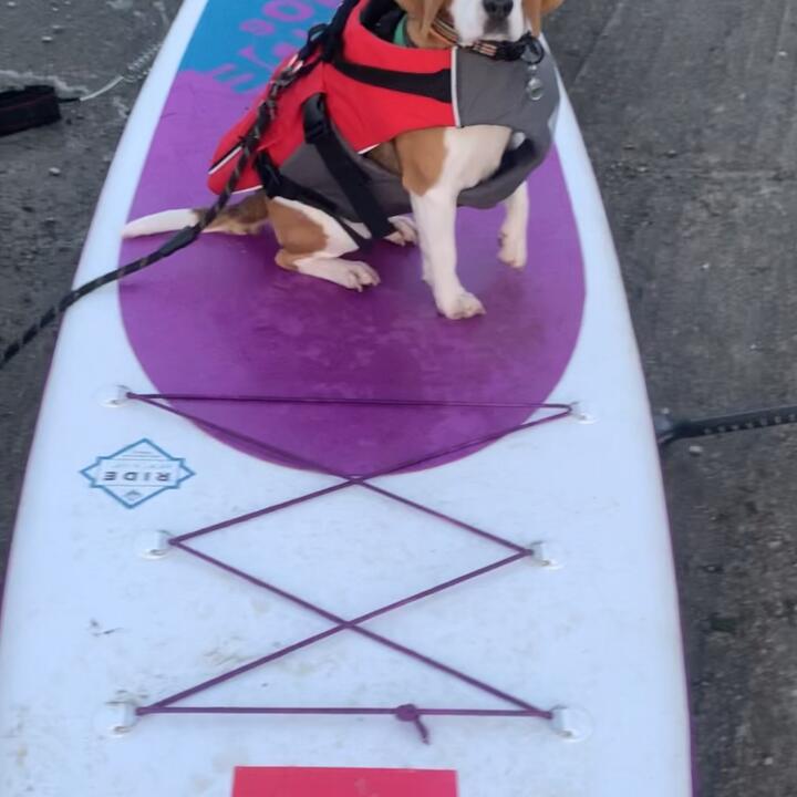 Red Paddle Co 5 star review on 8th July 2021