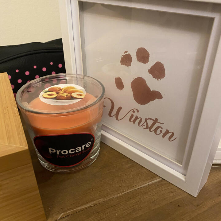 Procare Pet Cremations 5 star review on 7th June 2022