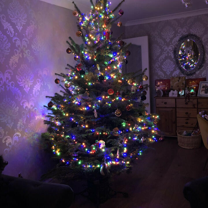 Christmas Trees Liverpool 5 star review on 6th December 2020