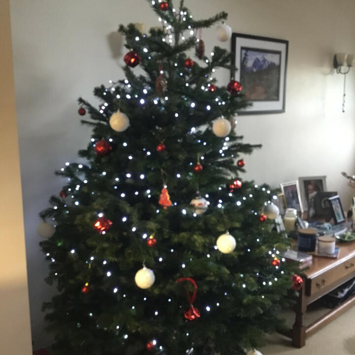 Christmas Trees Preston 5 star review on 2nd December 2021