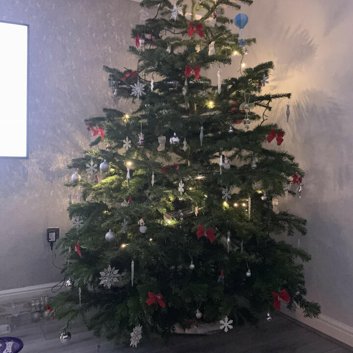 Christmas Trees Liverpool 5 star review on 19th December 2021
