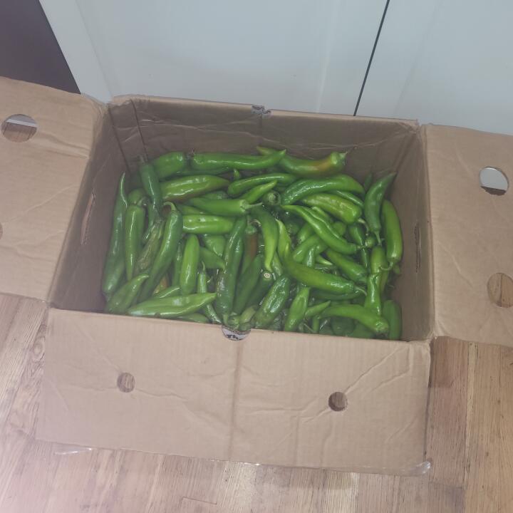 The Hatch Chile Store 5 star review on 6th October 2022