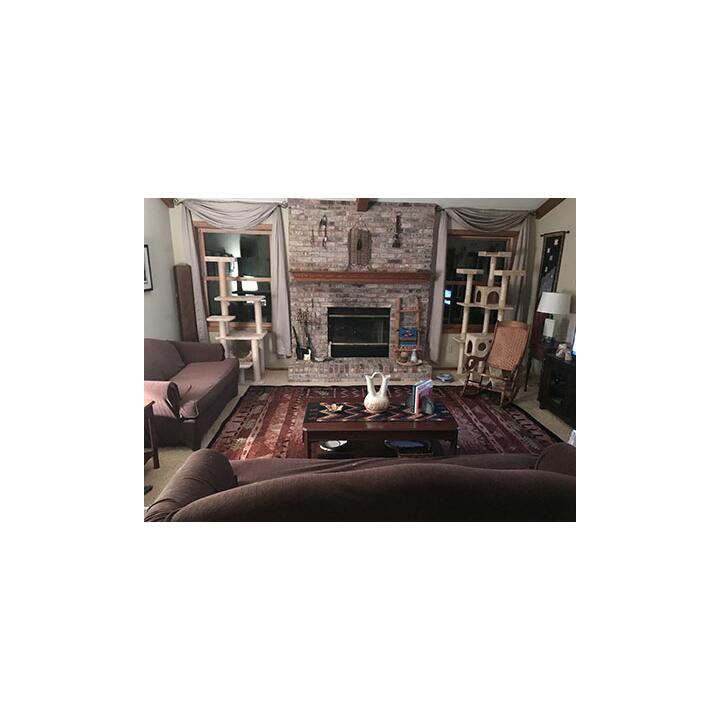 Incredible Rugs and Decor 5 star review on 5th February 2019